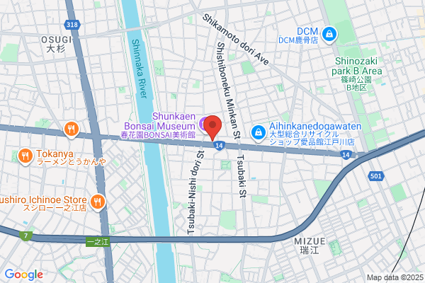 Auto Bright Salon