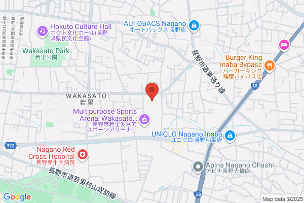 Nagano Denki Shokai