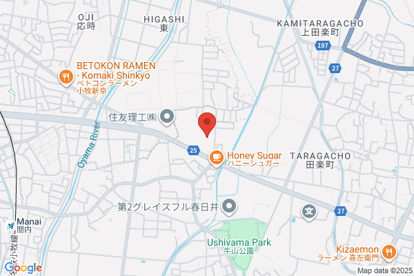 Technical Ikejima Co., Ltd.