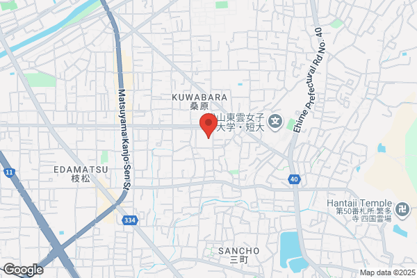 くすりのレデイ 桑原店