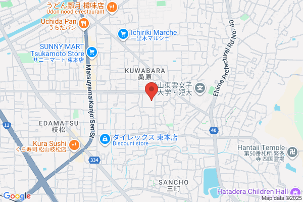 くすりのレデイ 桑原店
