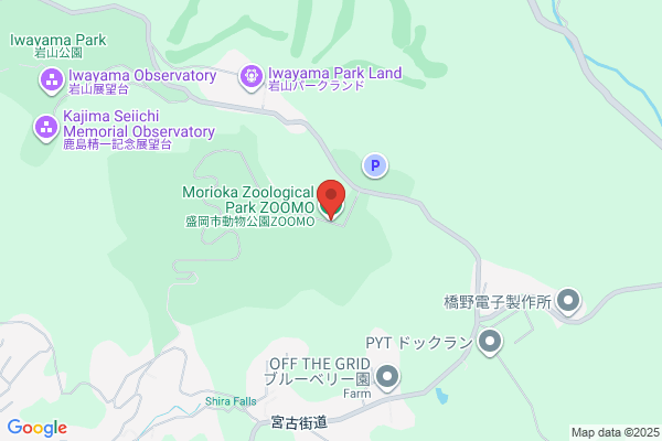 大阪難波キャバクラ ZOOミナミ