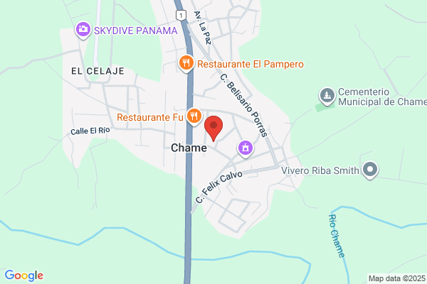 Chame