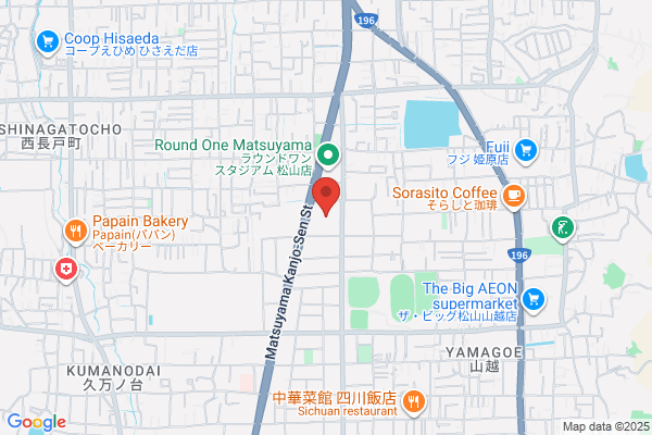 Best Denki Service Shop Kume-ten