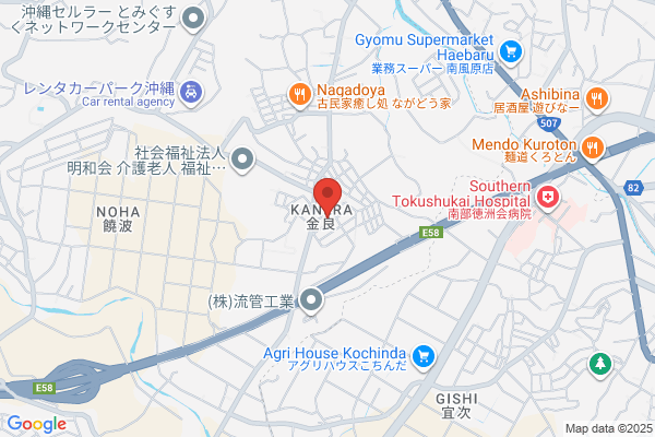 Ryukyu Computer Service Co Ltd