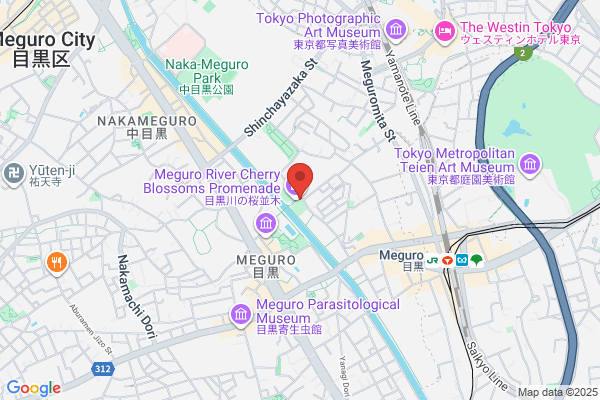 Meguro Golf Range