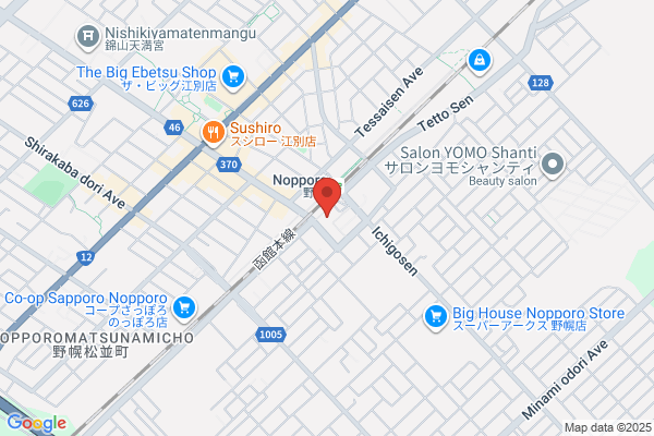 Business Hotel Nopporo