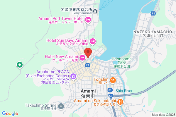 City Hotel Amami