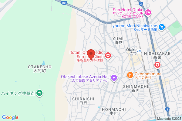 Otake High School