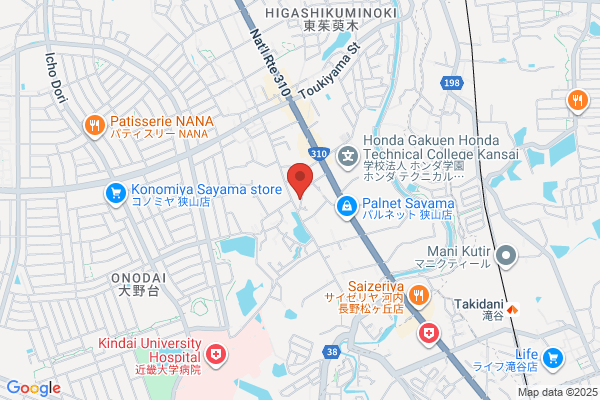 Hanayagi Culture School
