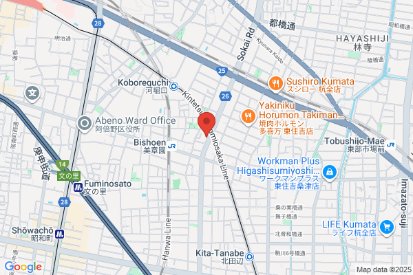 Osaka College of Art