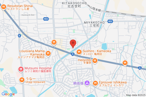 Matsumoto Co., Ltd. Chiyokawa-ten