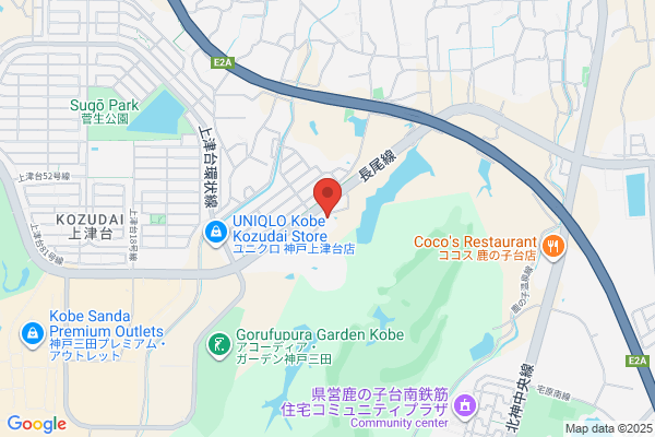 Tsutsui Co., Ltd.