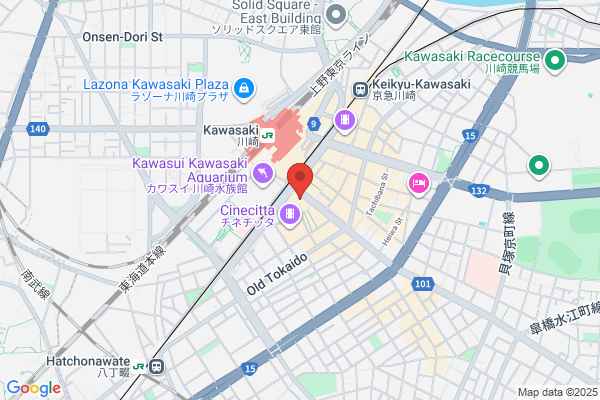 ゲオ川崎ゼロゲート店