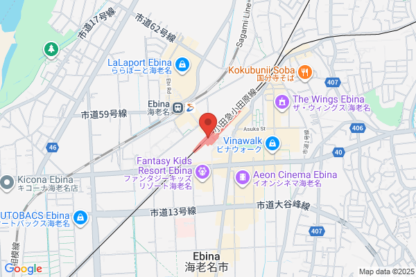 PUDOステーション　エディオン　豊橋店