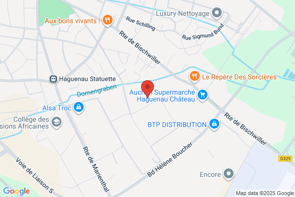 くすりのレデイ 神辺店