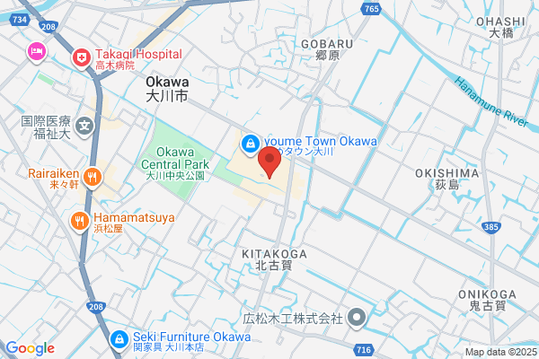 Best Denki Okawa-ten
