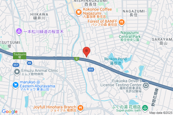 Fukuoka Nissan Jidosha Co., Ltd. Tsutsumi-ten