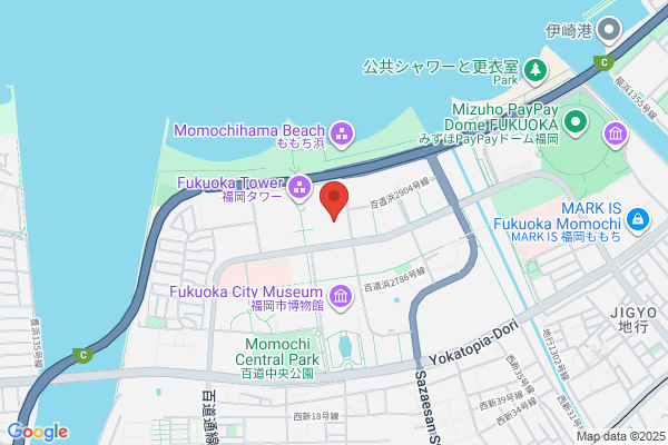 Television Nishi Nippon Corp., The