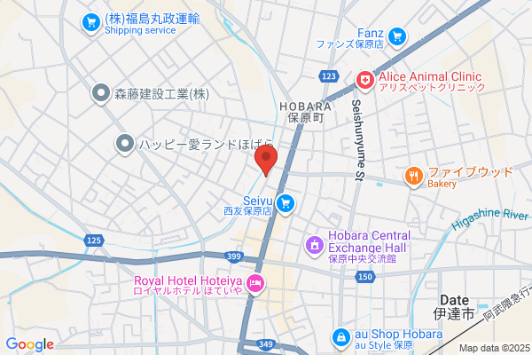 Ebisu Denki Co., Ltd.