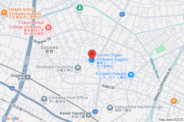 Ichikawa Denki Shokai Co., Ltd.