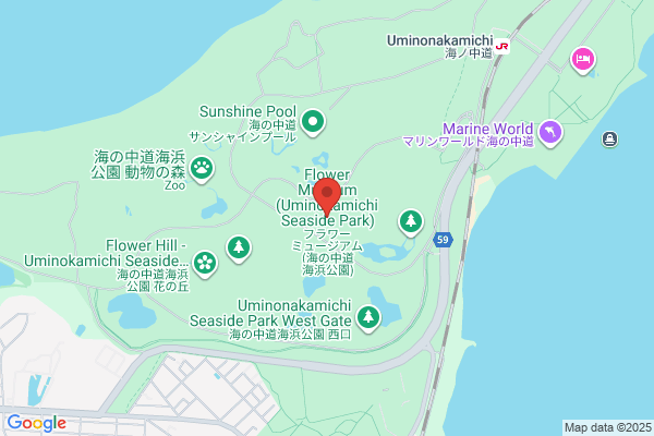Fukuoka Flower Flower Theater