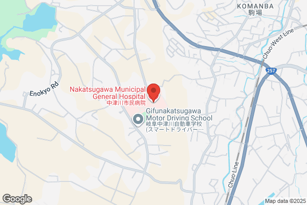 Nakatsugawa Clinic