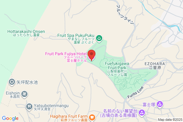 Hotel Fujiya
