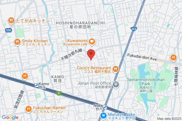 Shimada Medical Co., Ltd.
