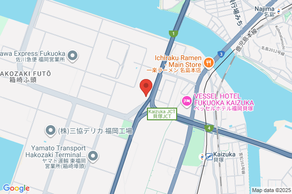 Ramone Hikkoshi Service