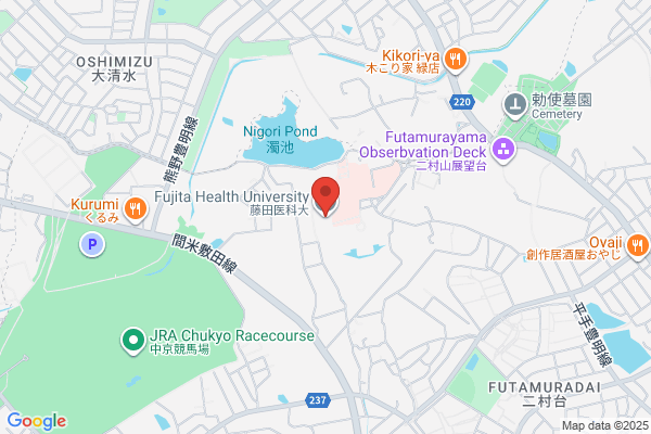 Fujita Pharmacy