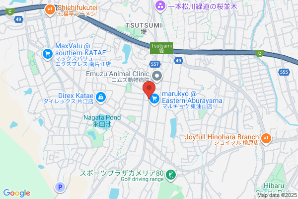 Shikimachi Pharmacy