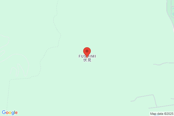 Ginpu