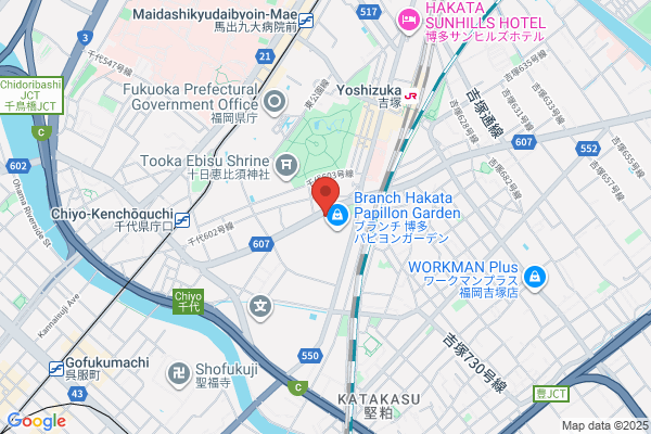 Bideosaido Arae Store