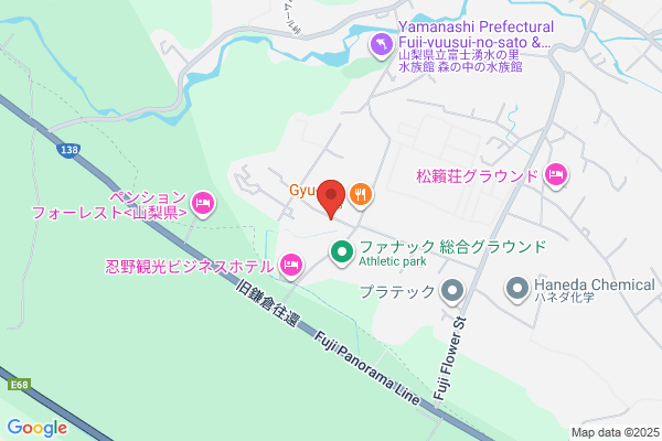 れすとろd’or