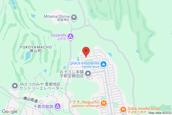 ノジマ NEW甲府店