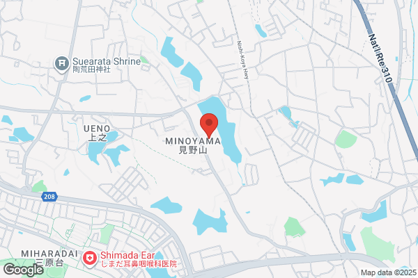 PUDOステーション　ゴダイ　市川店