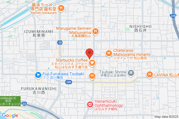 ゲオ松山椿店