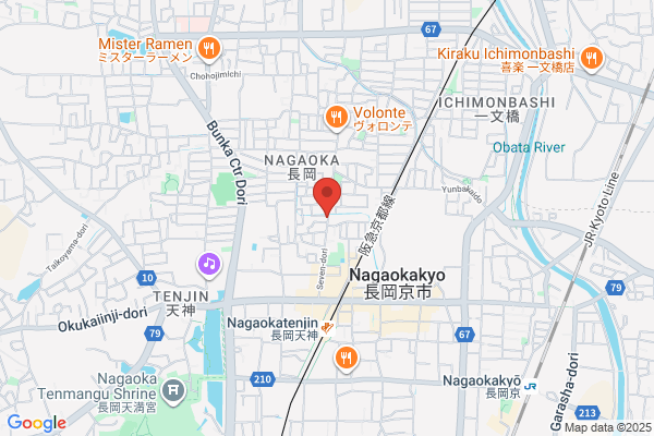 Best Denki, Nagaoka-ten