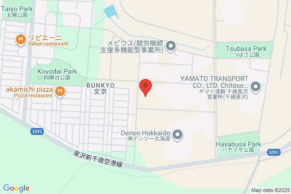 Chitose Denki Shokai Co., Ltd. Goinoike-ten