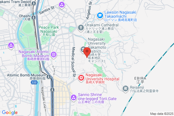 Nagasaki Research Institute Ltd