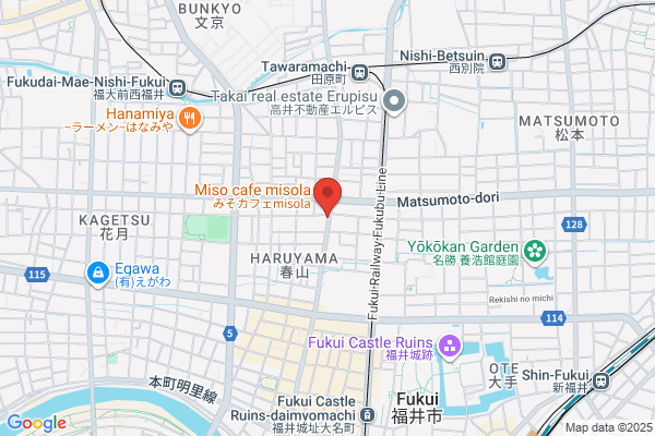 Fukui Denki Koji Co., Ltd.