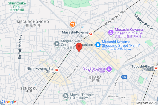 Ginsei Denki Shokai Ltd.