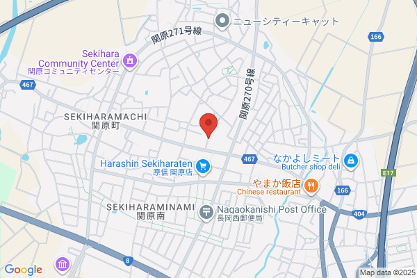 Shinko Denki Shokai