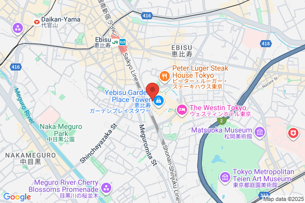 Meson Co., Ltd.