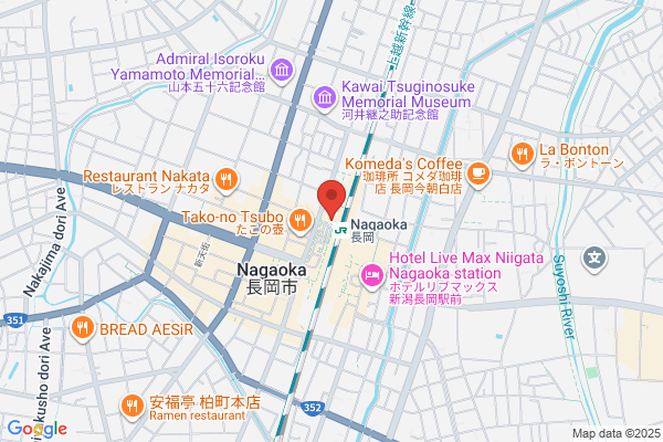 Nagaoka Terminal Hotel