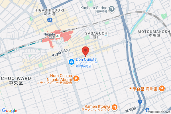 Niigata Park Hotel