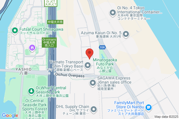 Tokyo Iryo Kagaku Co., Ltd.