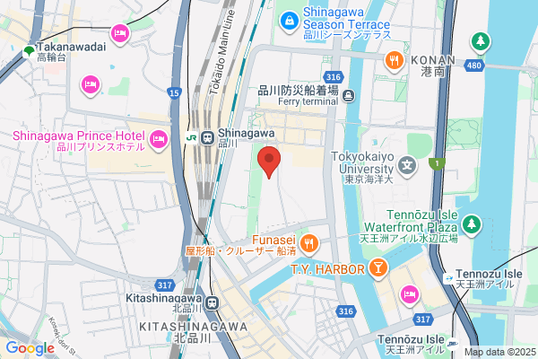 Drug Store Shinsetsudo