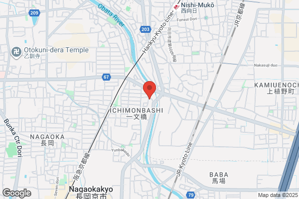 Falco Ichimombashi Pharmacy